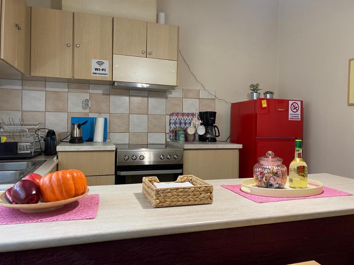 Cozy And Quiet Mini City Apartment Трикала Экстерьер фото
