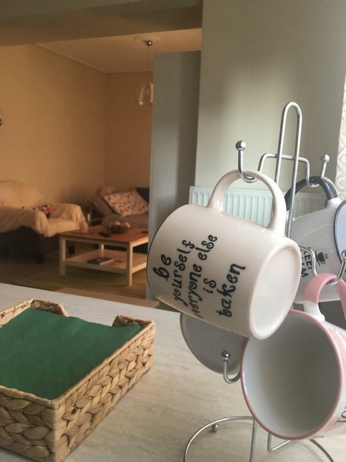Cozy And Quiet Mini City Apartment Трикала Экстерьер фото